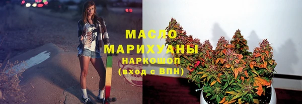 сатива Кулебаки