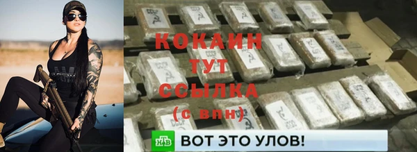 дмт Краснослободск
