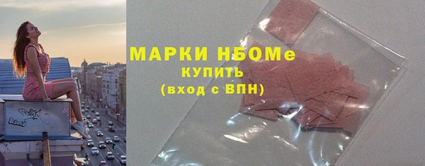 дмт Краснослободск