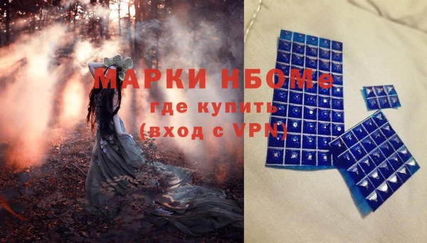 дмт Краснослободск