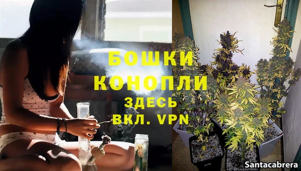 дмт Краснослободск