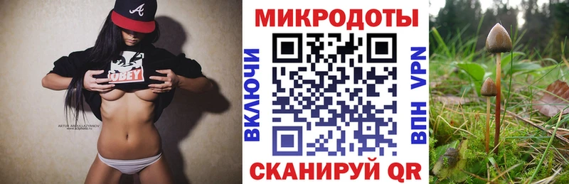 Купить  Новая Ладога  Галлюциногенные грибы Cubensis 
