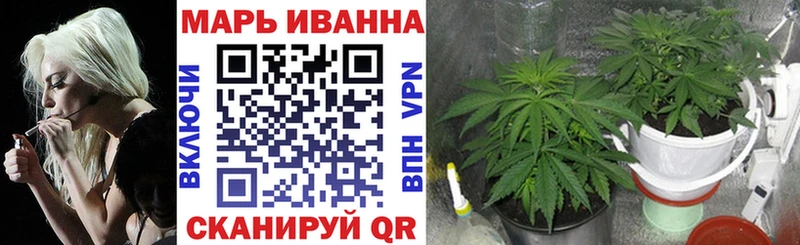 Бошки Шишки план  Купить  Новая Ладога 